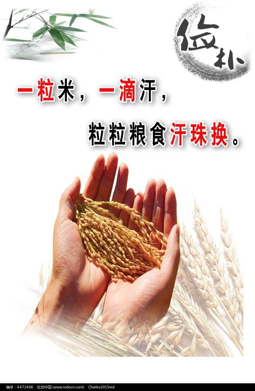 日照不动产证查询官网